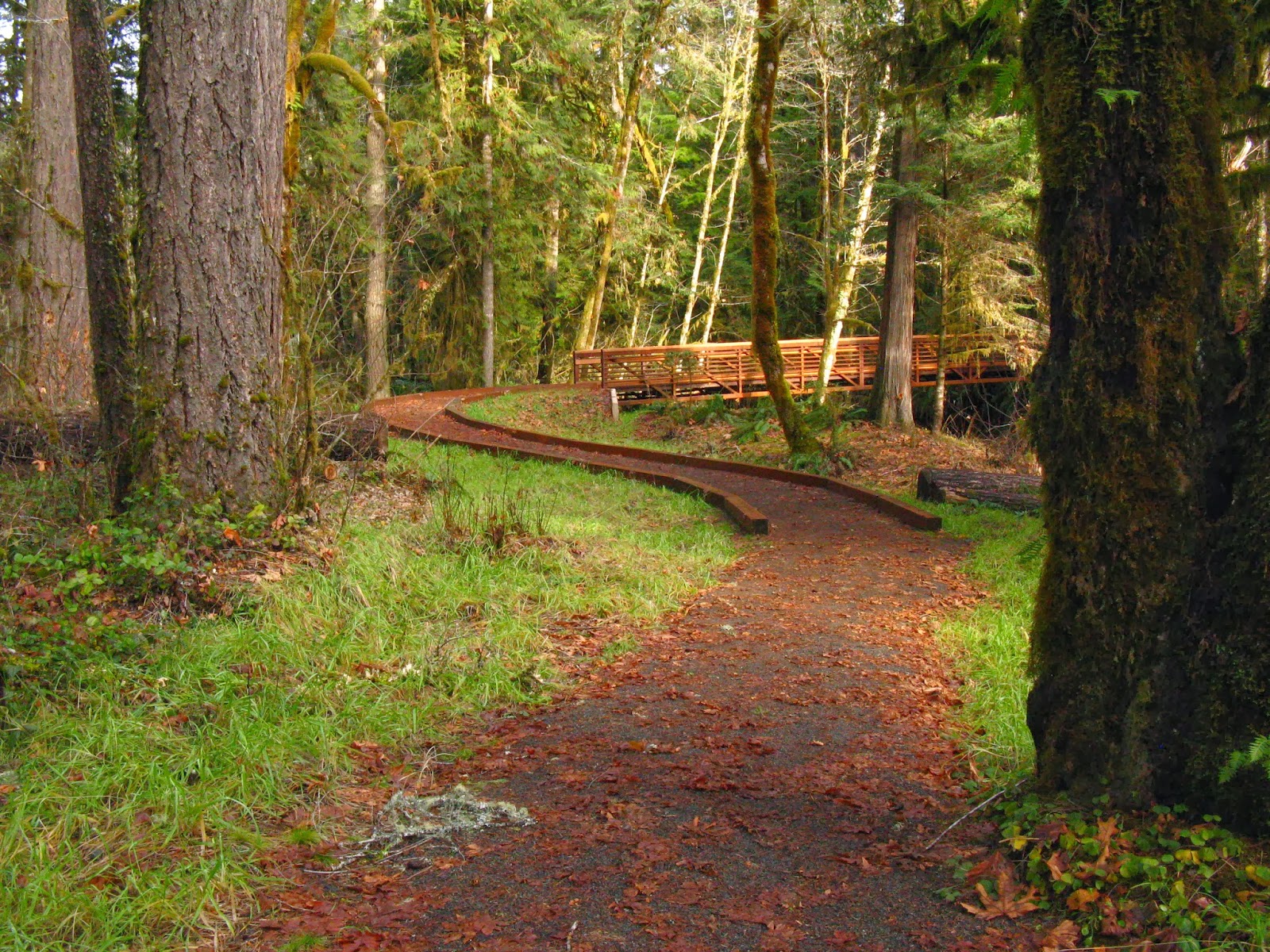 Lane's Trails and Travels: North Umpqua Trail: Susan Creek to Bob Butte