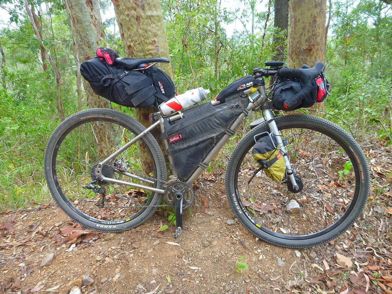 salsa fargo ti