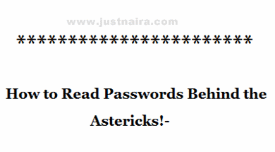 Read Password Behind Asterisks