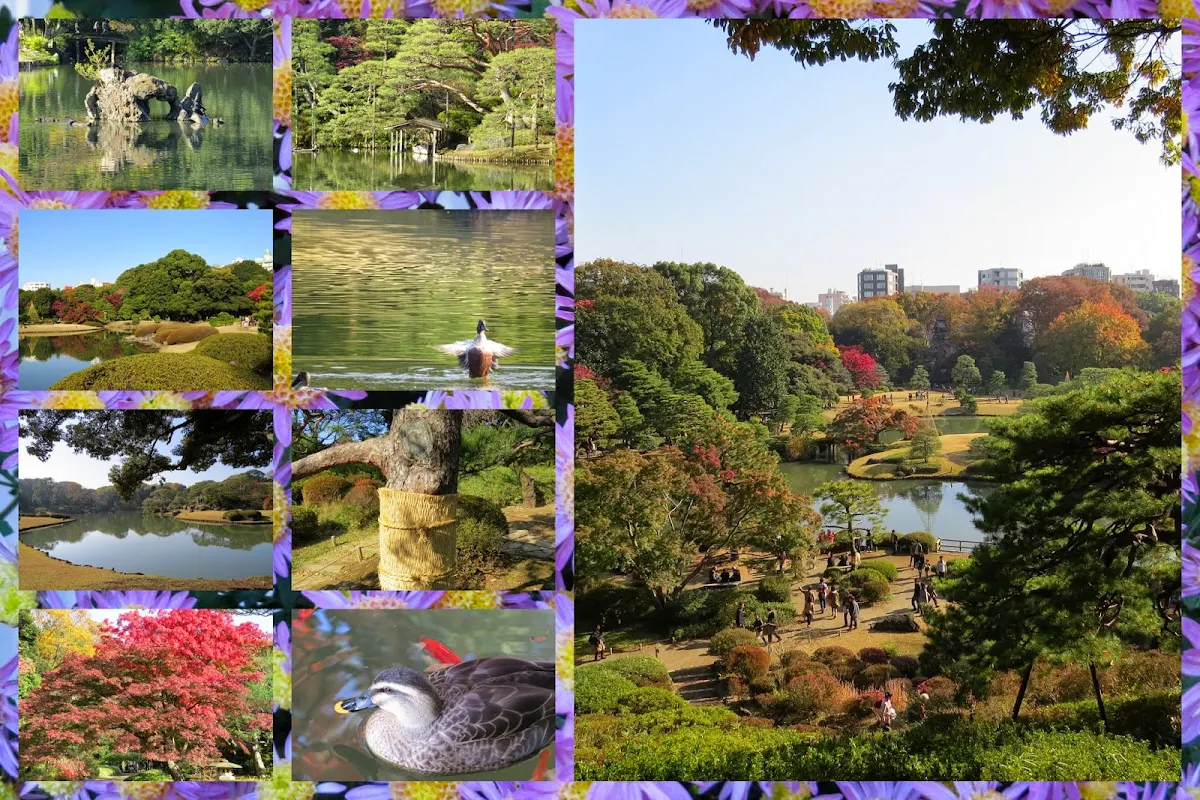 Areas of Tokyo city: Rikugien Park