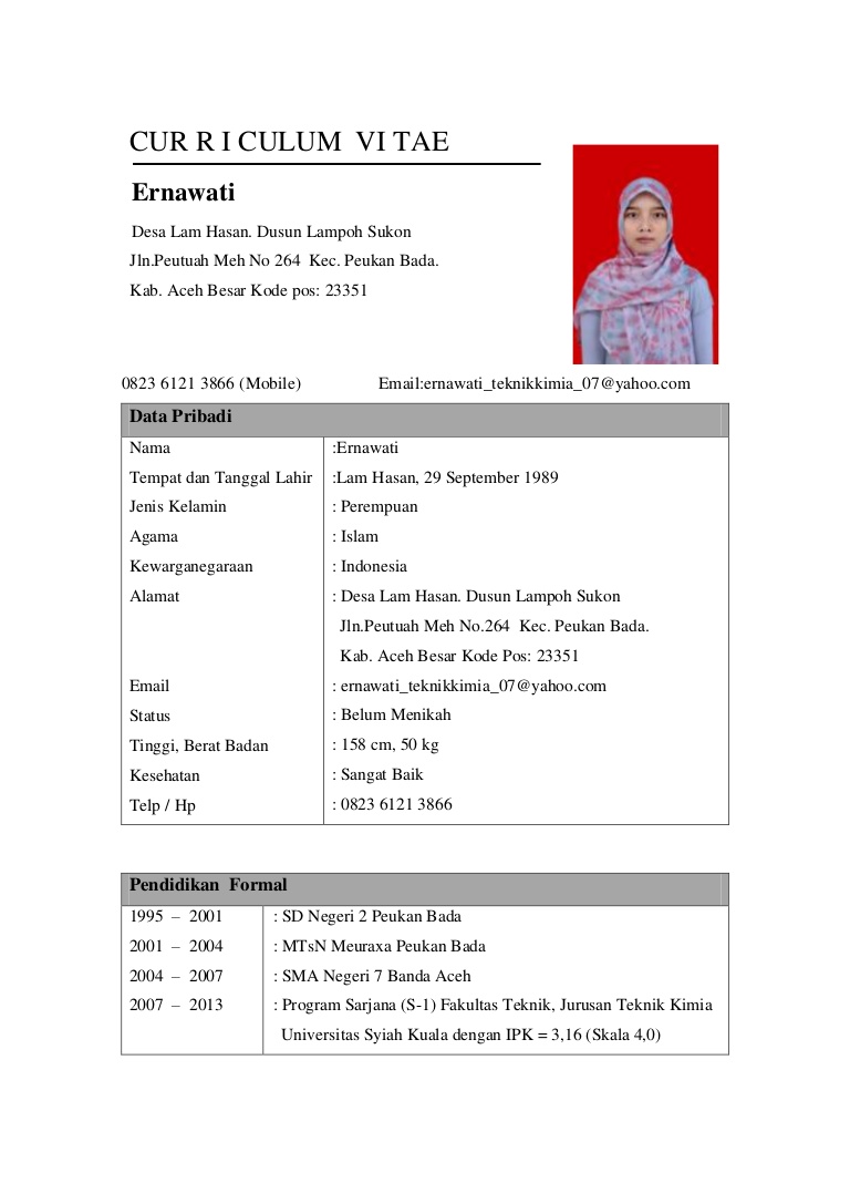 Contoh Cv Perawat Fresh Graduate Pdf / Download Contoh CV