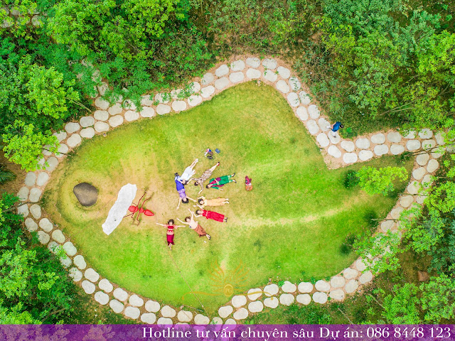 boomerang trong quần thể sinh thái phùng check-in tại the phoenix garden