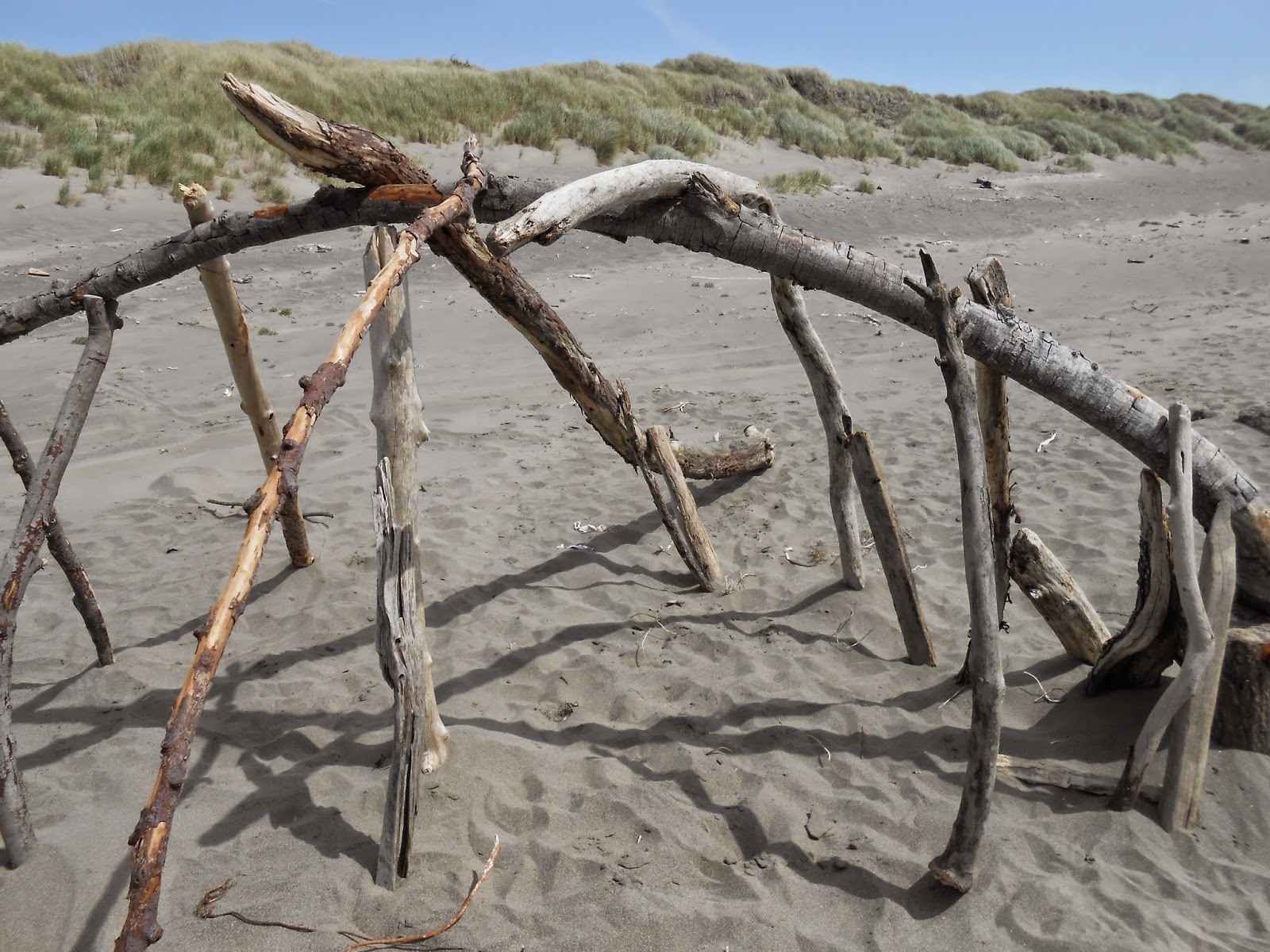 driftwood, beach, photography, spiritual awakening, spiritual belief, unstable