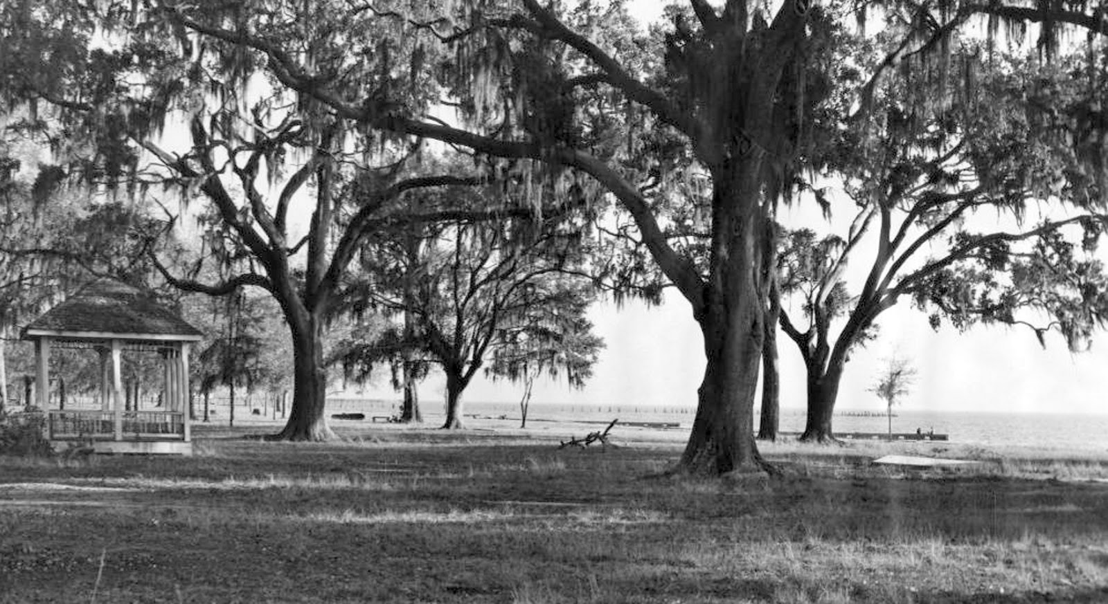 Tammany Family Mandeville's Lakefront Seawall The Early Days