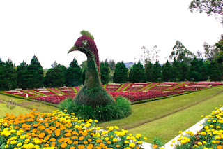 taman bunga nusantara taman bunga nusantara
