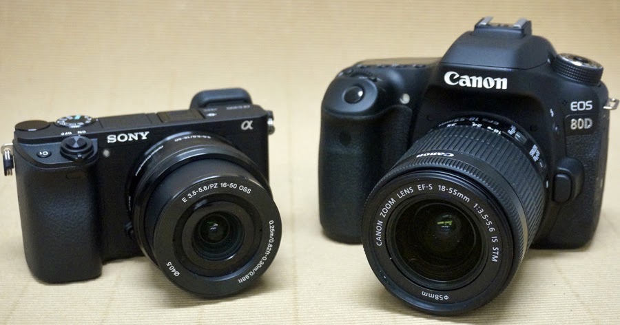 The Wildlife Ho-tographer: Canon EOS-80D vs Sony A6300 Camera Comparison -  Michael Daniel Ho