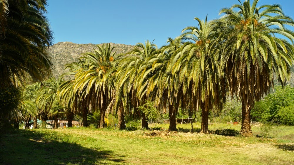 Santuario del Estero Camping Cajon del Maipo, Navidad 2014