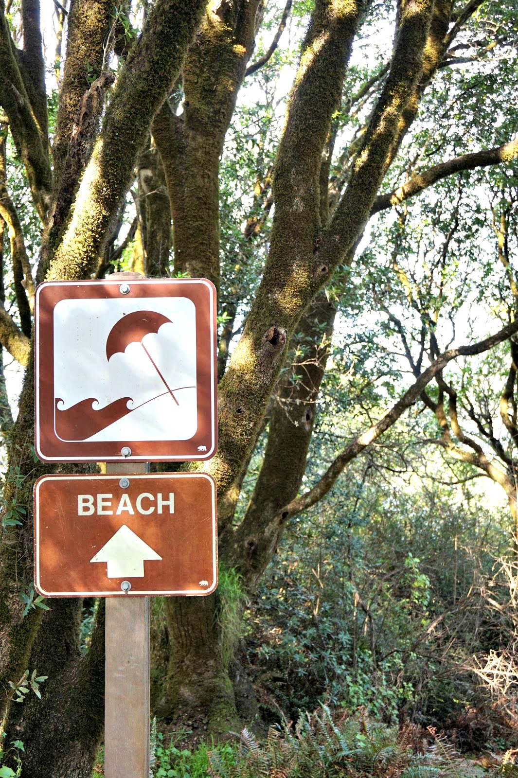 The Thrifty Traveler Tomales Bay