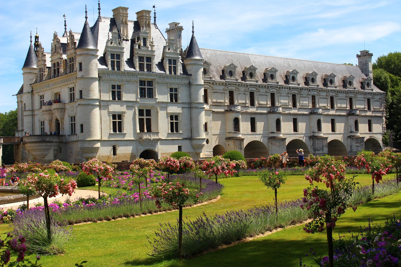 Roses du jardin Chêneland Jardin de