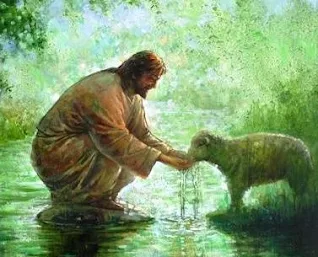 jesus dando água uma ovelha
