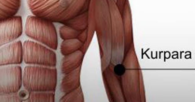 váll- és könyökízület osteoarthrosis kezelése)