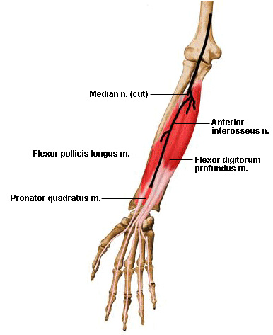 Acozta: GAMBAR