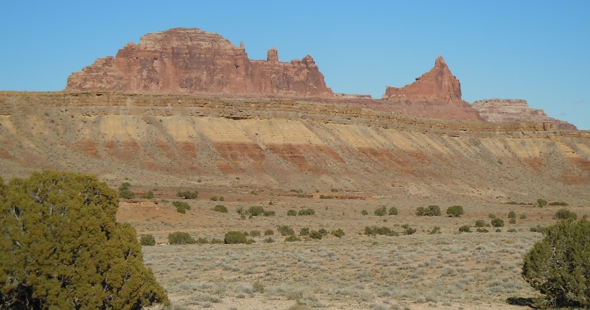 Ammonoidea Early Triassic Red Beds