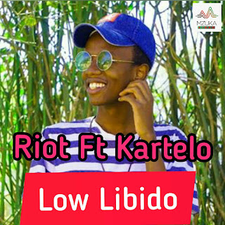 Audio Riot Ft Kartelo - Low Libido Mp3 Download