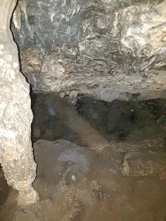 Cova de la figuera 5
