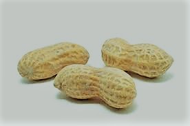 PeanutsMungfali meaning in hindi, Spanish, tamil, telugu, malayalam, urdu, kannada name, gujarati, in marathi, indian name, marathi, tamil, english, other names called as, translation PeanutsMungfali meaning in hindi, Spanish, tamil, telugu, malayalam, urdu, kannada name, gujarati, in marathi, indian name, marathi, tamil, english, other names called as, translation