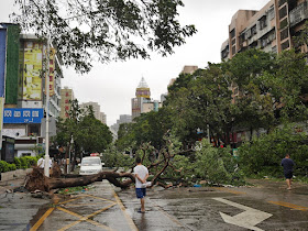 tree blocking Yuehua Road in Zhuhai