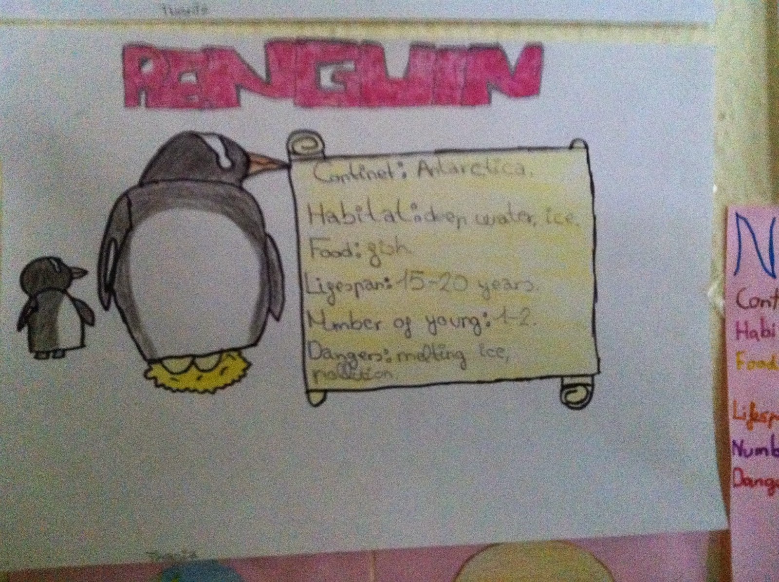 6th GRADE OF PRIMARY EDUCATION : Habitats and their animals