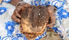 72-Year Old Bricklayer Caught With Human Head In Osun, Says “Mistake Has No Master” (Graphic Photo)