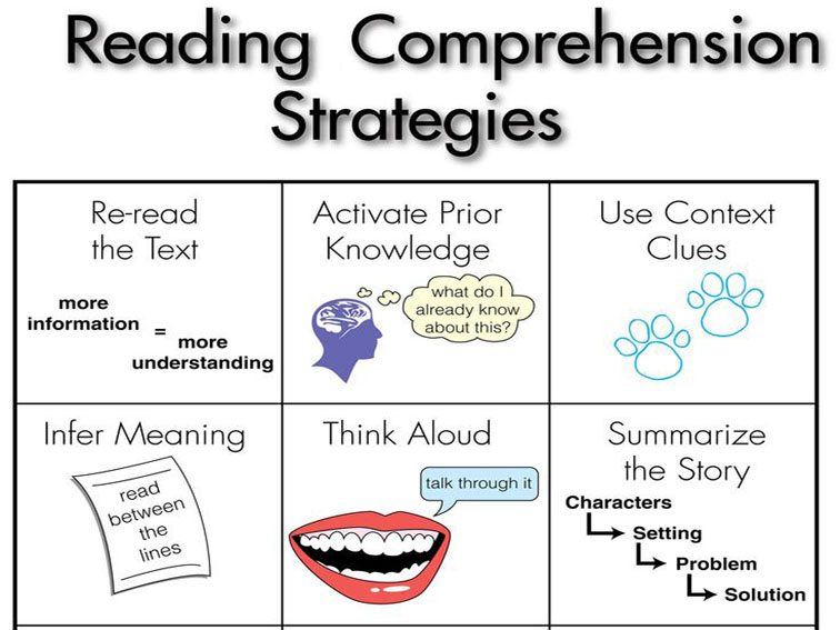 Reading strategies book report