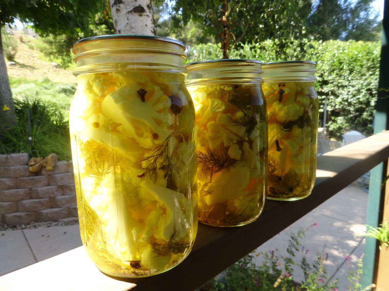 Cauliflower pickles recipes classic overnight easy diana rattray dill