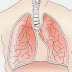 Penyakit Paru-paru dan Gejalanya