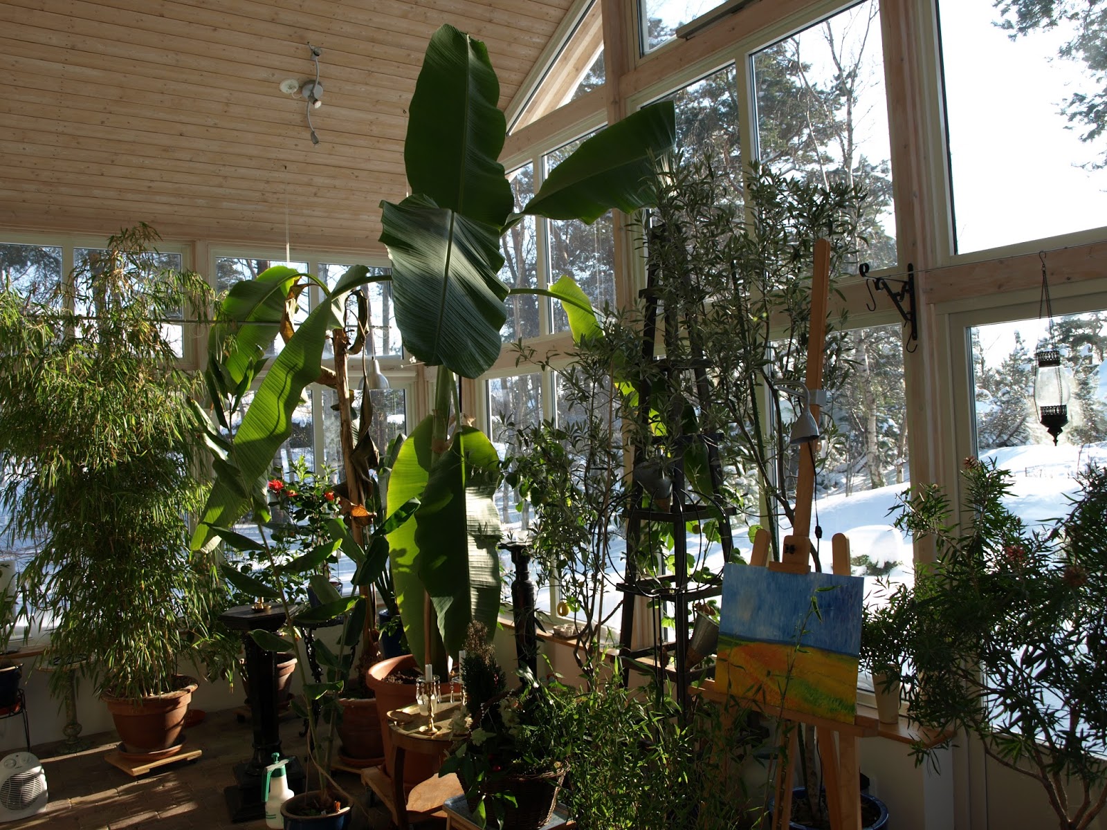 Trädgård i torslanda: egna inköp i den femstjärniga plantskolan