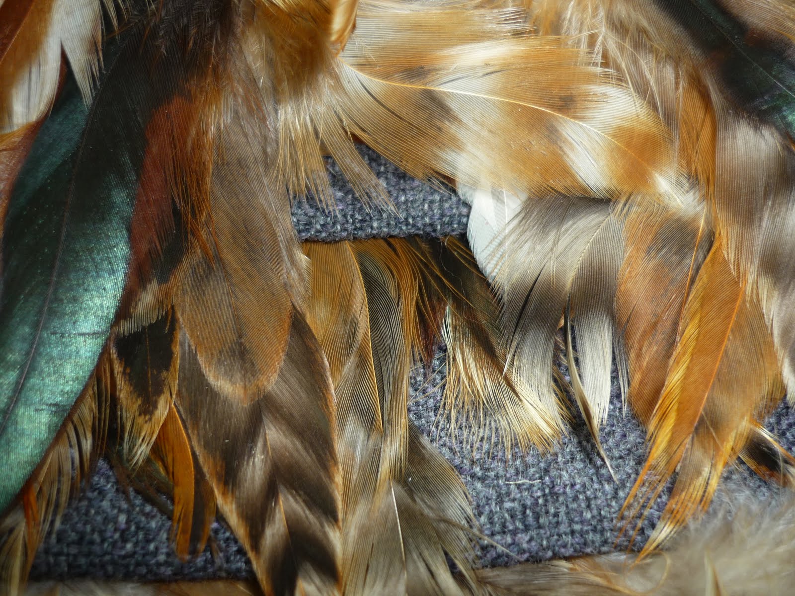 Hannah Rawlings Designs Weaving with Feathers