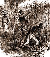 Typical picture of black people