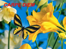 carpe diem