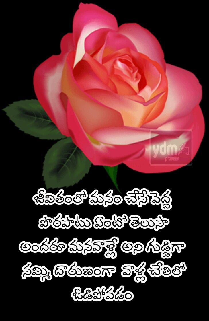 good morning images in telugu