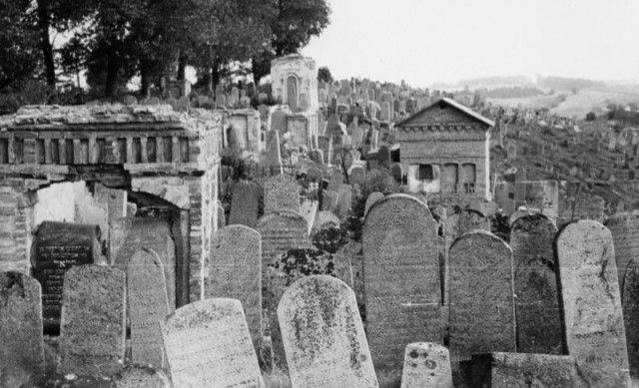 בילד: די שניפישאקער ביה"ח פארן חורבן בילד: די שניפישאקער ביה"ח פארן חורבן