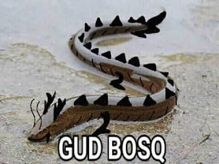 Kerad Kerad