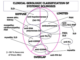 scleroderma-clinical-serologic-classification