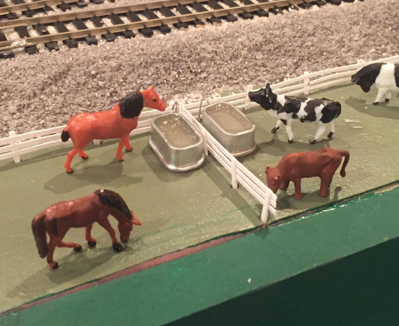 o scale cattle