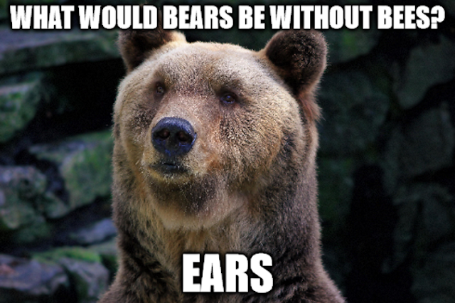 39 thought humor 39 corny jokes so bad that they hurt norman luboff choir christmas