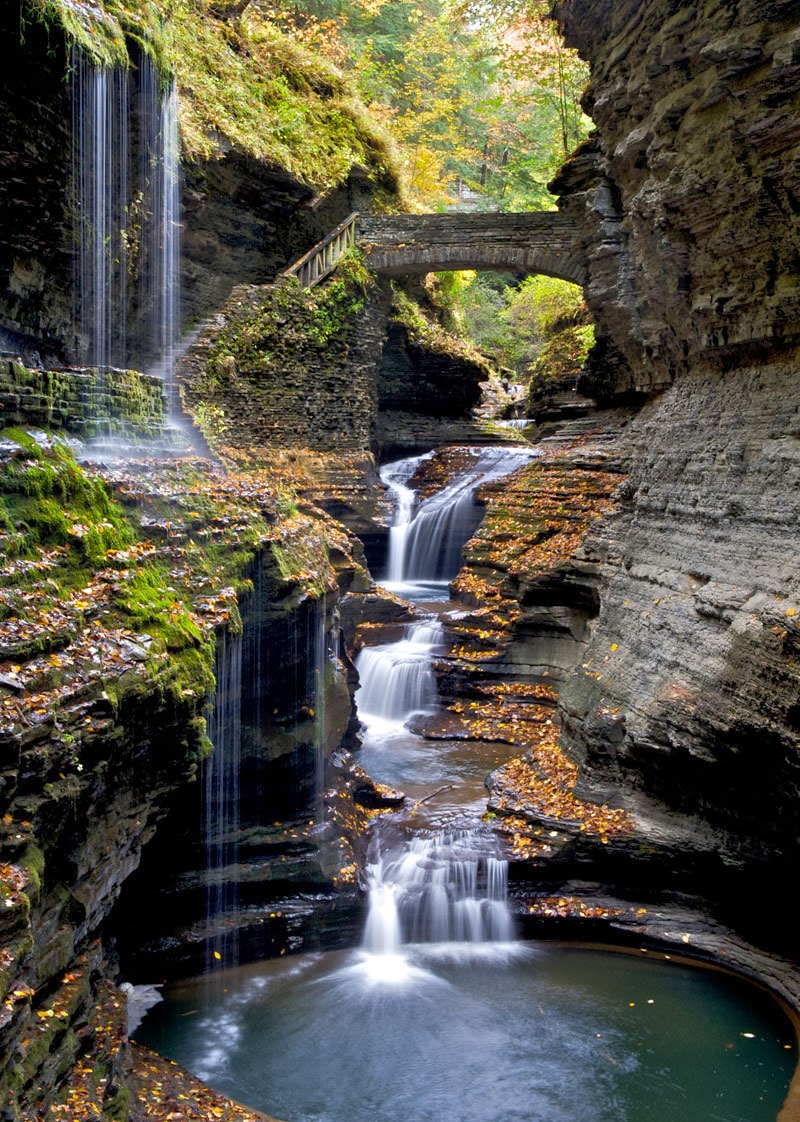 The at Watkins Glen Daily News