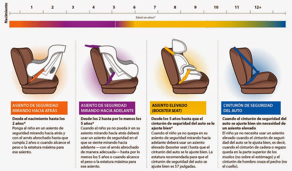 Los cinturones de seguridad. CINTURONES DE