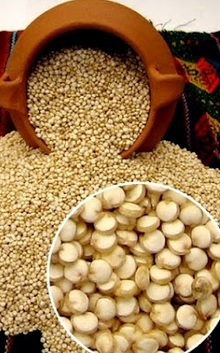 Quinua lista para cocinar Agricultura Cultura Tiahuanaco (Quinua lista para cocinar)