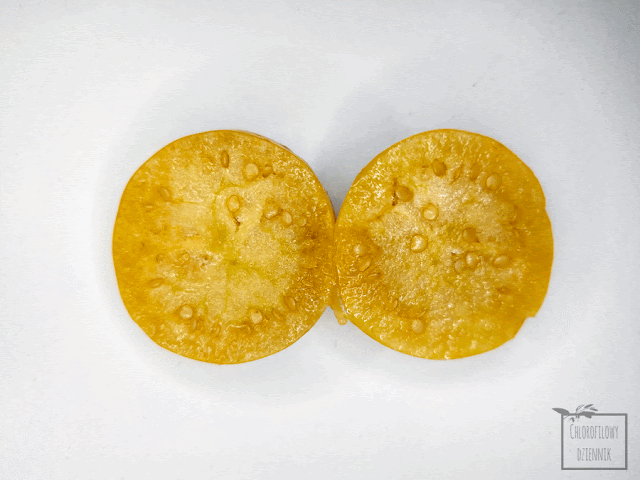 Miechunka peruwiańska, miechunka jadalna (Physalis peruviana) - owoc. Jak wygląda, jak smakuje, jak jeść. Wartości odżywcze, witaminy. Nasiona, siew, roślina, uprawa.