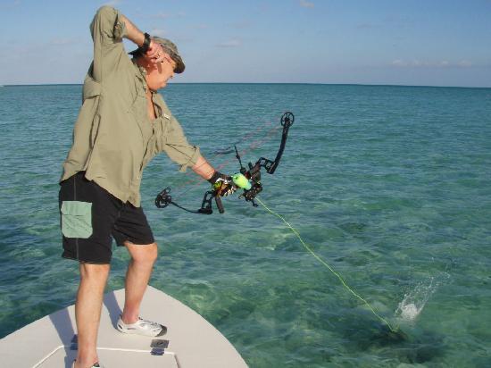 Cabezales De Flecha Para Pesca Con Arco, 6 Tirachinas, Aleac | Envío Gratis - Foto 10