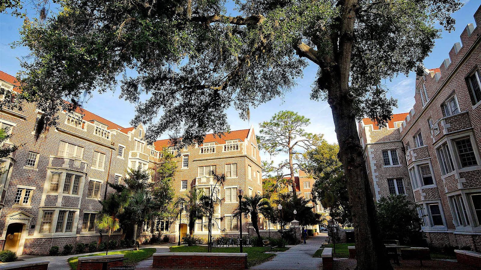 University Of Florida Hough Online Mba University Of Florida Online Mba - University Choices
