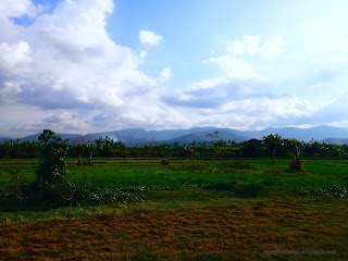 Tropical Rural Scenery In The Afternoon At Seririt Village, Buleleng, North Bali, Indonesia