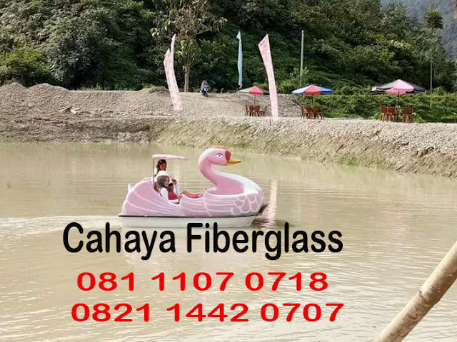 sepeda air bebek sepeda air bebek