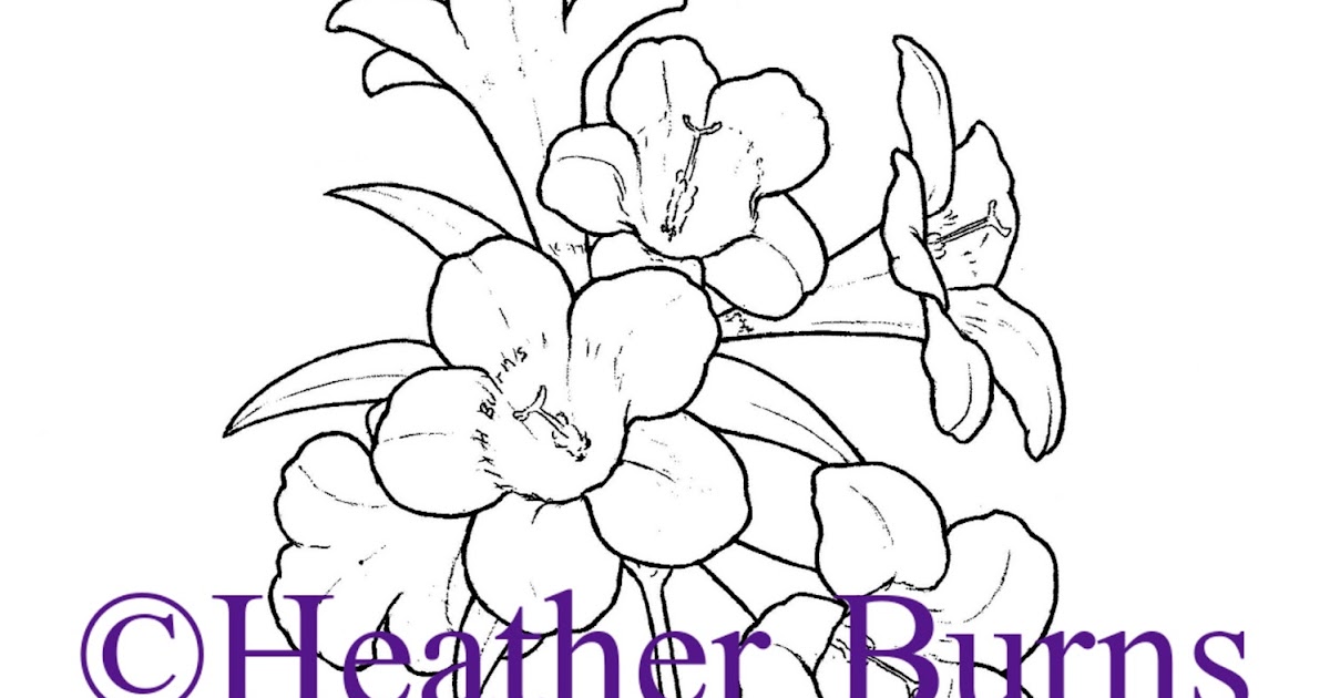 State Flower Coloring Book: South Carolina State Flower: Yellow Jessamine