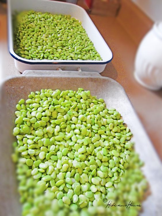 Hibiscus House Freezing Butter Beans & Cooking Them