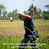 Cómo meter la pata (las dos) en un arrozal de Bali 