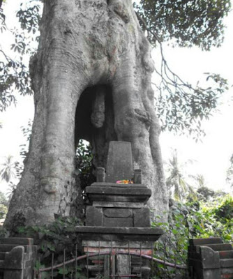 Pohon Lanang Wadon