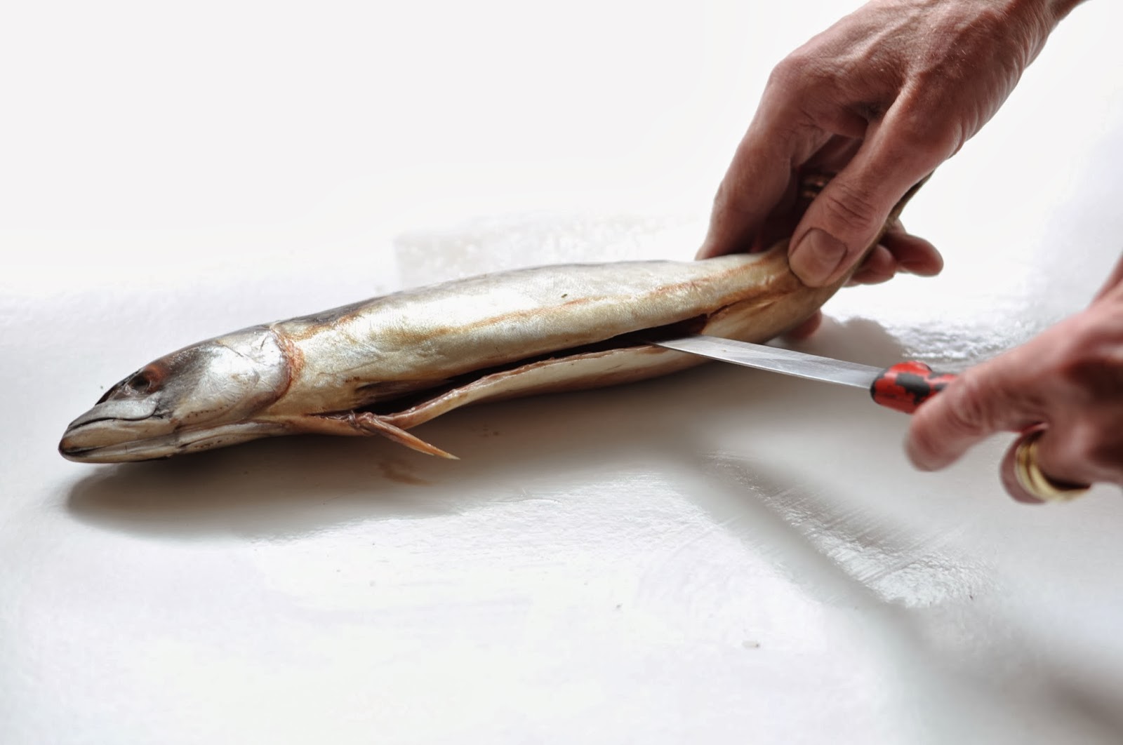 Simple Food Poached Mackerel with Mushroom and Fennel Sauce