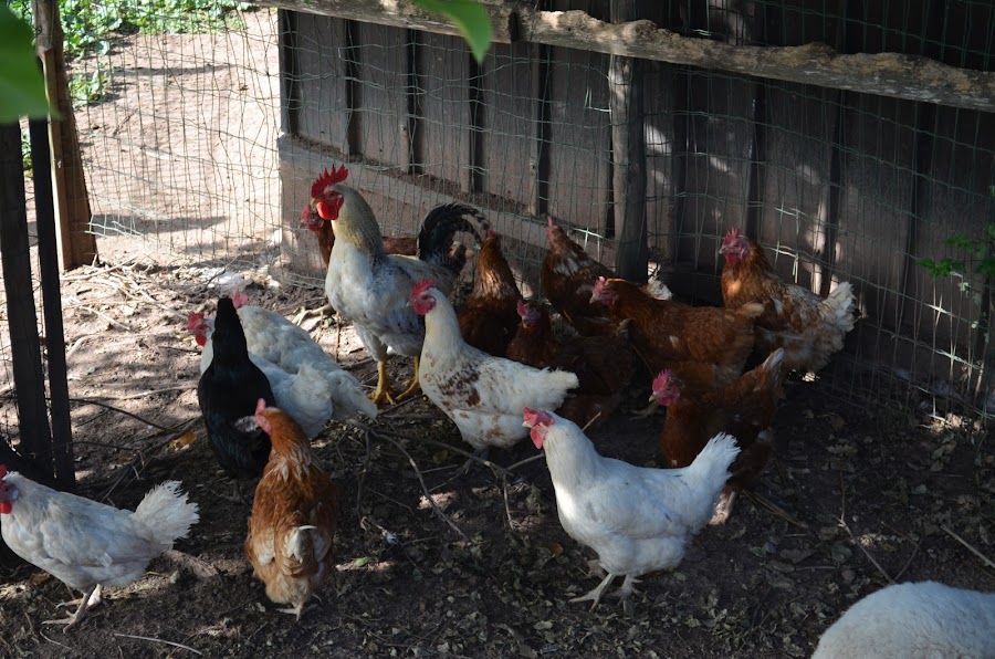 italy desdeestelaodemimundo.blogspot.it